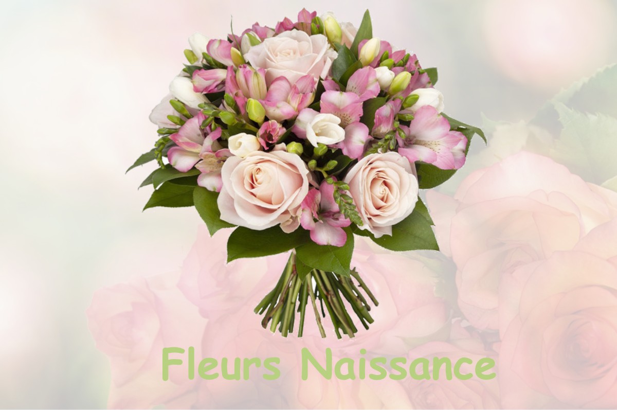 fleurs naissance LIOUX-LES-MONGES