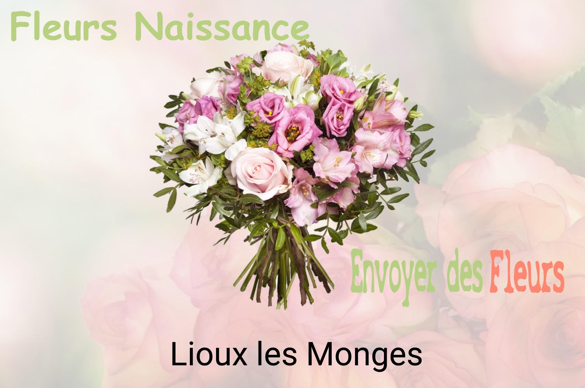 Bouquet de fleurs de naissance livré à Lioux-les-Monges
